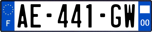 AE-441-GW