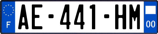 AE-441-HM