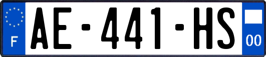 AE-441-HS
