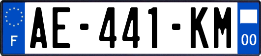 AE-441-KM