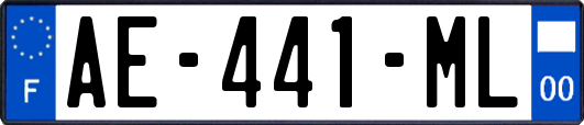 AE-441-ML