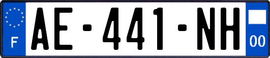 AE-441-NH