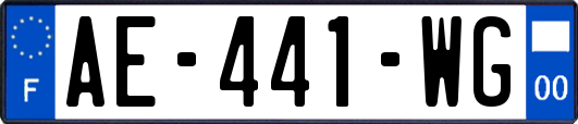 AE-441-WG