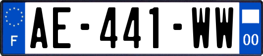 AE-441-WW