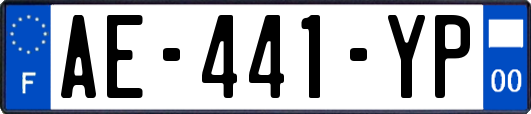 AE-441-YP