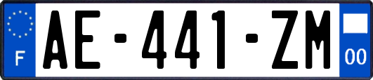 AE-441-ZM