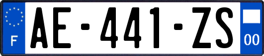 AE-441-ZS