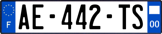 AE-442-TS