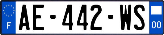 AE-442-WS