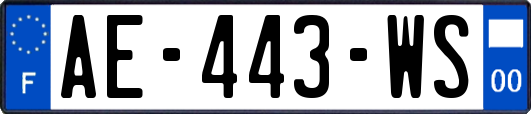 AE-443-WS