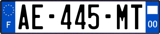 AE-445-MT
