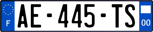 AE-445-TS