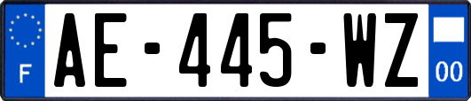 AE-445-WZ
