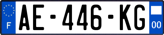 AE-446-KG