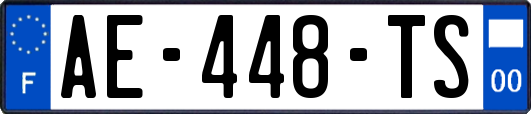 AE-448-TS