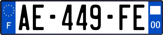 AE-449-FE