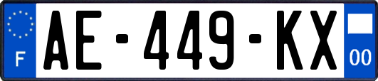 AE-449-KX