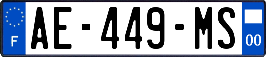 AE-449-MS