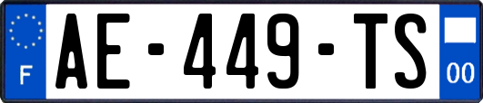 AE-449-TS