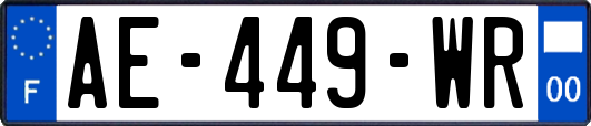 AE-449-WR