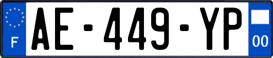 AE-449-YP