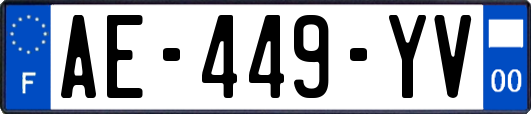 AE-449-YV
