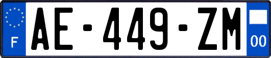 AE-449-ZM