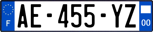 AE-455-YZ