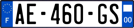 AE-460-GS