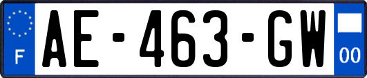 AE-463-GW