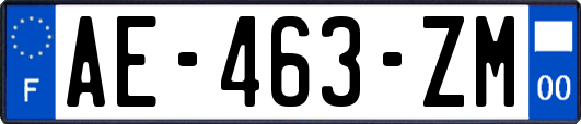 AE-463-ZM