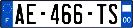 AE-466-TS