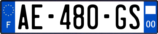 AE-480-GS