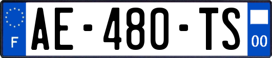 AE-480-TS