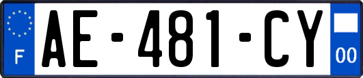 AE-481-CY