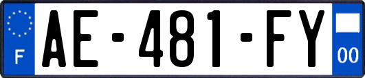 AE-481-FY