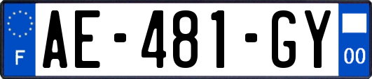 AE-481-GY