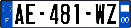 AE-481-WZ