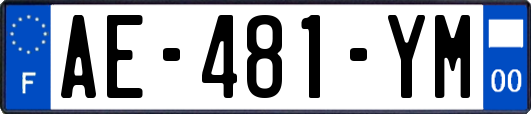 AE-481-YM
