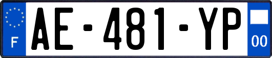 AE-481-YP