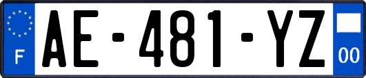 AE-481-YZ