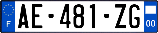 AE-481-ZG