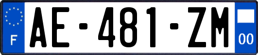 AE-481-ZM