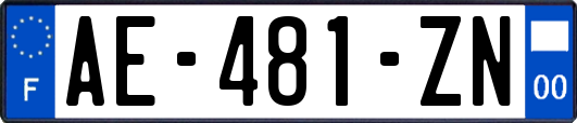 AE-481-ZN