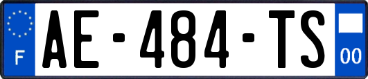 AE-484-TS