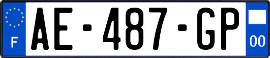 AE-487-GP