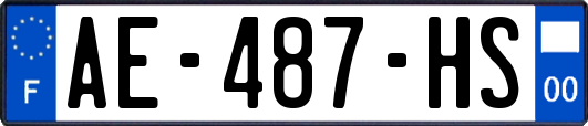 AE-487-HS