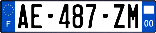 AE-487-ZM