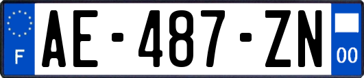 AE-487-ZN