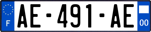 AE-491-AE